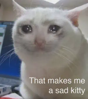 That makes me a sad kitty