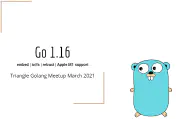 Go 1.16 Release Overview